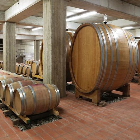 Penzion Poderi Firenze Cinigiano Exteriér fotografie